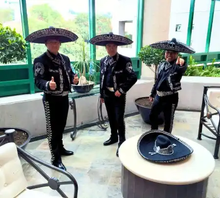 Serenatas con Mariachis en la Ciudad de México Serenata con Mariachis en la Ciudad de México